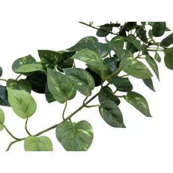 EUROPALMS Pothos buskhæk Classic, kunstig, 70cm (82502201)