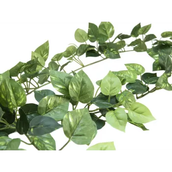 EUROPALMS Pothos Garland Classic, Artificial, 180cm 82503728