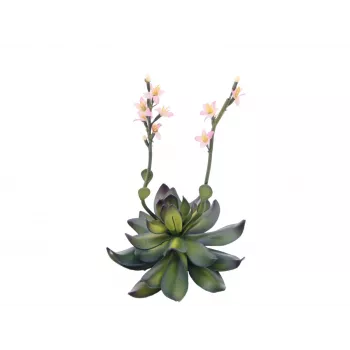 EUROPALMS Stone Rose (EVA) Artificial Plant, Pink, 32cm 82530572