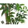 EUROPALMS Ficus Longifolia kunstplante, 165cm 82506350