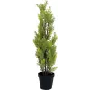 EUROPALMS Leyland-cypres kunstig plante, 60 cm 82606959