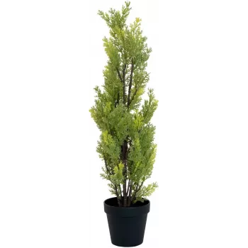 EUROPALMS Leyland-cypres kunstig plante, 60 cm 82606959