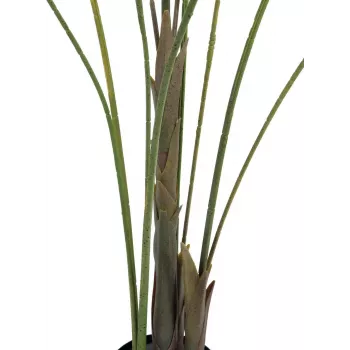 EUROPALMS Großblatt-Areca Artificial Areca Palm, 185cm (82509442)