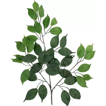 EUROPALMS kunstig Ficus Benjamina-gren, 12-pak 82506101