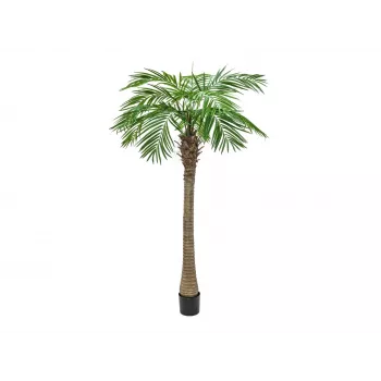 EUROPALMS Phoenix Palm Luxor kunstig plante, 210 cm 82510721