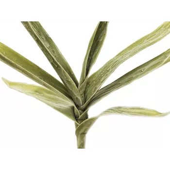 EUROPALMS Kunstig yucca-gren (EVA), grøn 82531063