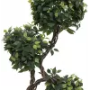 EUROPALMS Ficus Multi Spiral Trunk kunstig plante, 160 cm 82501563