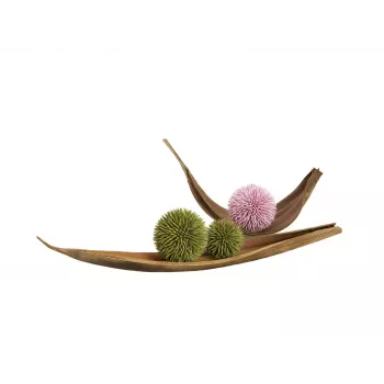 EUROPALMS Succulent Ball EVA Artificial Plant, Green, 16 cm 82531074