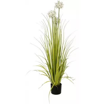 EUROPALMS Allium Grass Artificial Plant, White, 120 cm 82600169