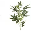 EUROPALMS kunstig hampgren, 90cm, grøn 82506699