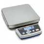 KERN DE 6K1D præcisionsplatformvægt, 6 kg kapacitet, 1 g/2 g aflæsning, batteri- eller netdrift