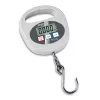 Kern HDB 30K-2XL Hanging Scale, 30 kg Capacity, 20 g Readability