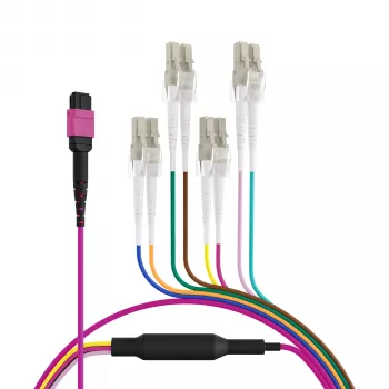 EFB Elektronik MPO-PLUS(F)-LC Trunk-kabel OM4 8 fibre Type B LSZH Lynglilla 2m MPOF08LCOM4-2