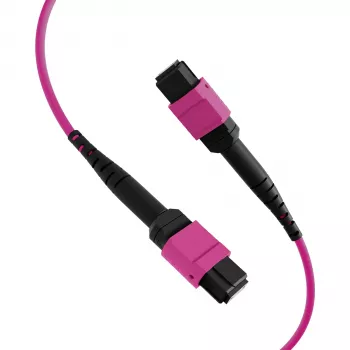 EFB Elektronik MPO-PLUS (F) til MPO-PLUS (F) OM4 Multimode LWL-patchkabel, 8 fibre, Type B, LSZH, Lynglilla, 2m MPOF8MPOFOM4-2
