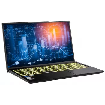 Captiva business/office I10-1453GE 17,3 inch notebook, Intel Core i5-1335U, 64GB RAM, 2TB SSD, Intel Iris Xe Graphics, Windows 11 Pro, Wi-Fi, Bluetooth