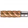BDS HSS VarioPLUS 17 mm Annular Cutter, 55 mm Cutting Depth, Weldon Shank KBL-VP017