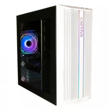 Captiva pc Business/Office R10-3536 (Ryzen 5 3400G, 64GB RAM, 1TB SSD, WLAN, uden styresystem)