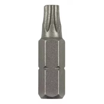 Bosch Torx-bit T 8 C 6,3 2 stk. (2609255931)