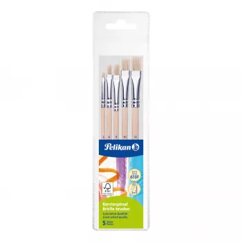 Pelikan Starter Brush Set, 5 Bristle Brushes with Wooden Handles, Assorted Sizes, Clear Case 300008263