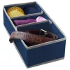 ORDINETT Box with Sections M 30.5 x 15.5 x 10 cm, Blue
