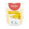BOLSIUS True Scents duftkerze i glas - mimose, 97x85 mm