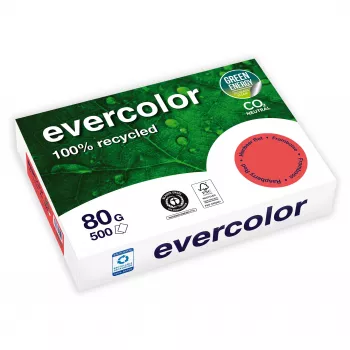 Clairefontaine EVERCOLOR 40259C A4 multifunktionspapir 80 g/m² hvid 500 ark