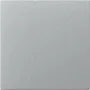 GIRA 349626 vippe lige, System 55, farve alu