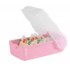 HAN CROCO Flashcard Box A7 Landscape, Pastel Pink, Translucent Lid, Polypropylene (997-886)