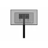 celexon Expert electrically height-adjustable display stand Adjust-4275WB