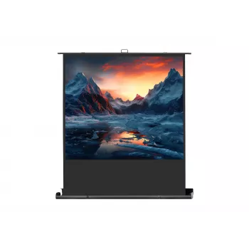 celexon Professional mobile plus Projection Screen, 51" (131 cm)